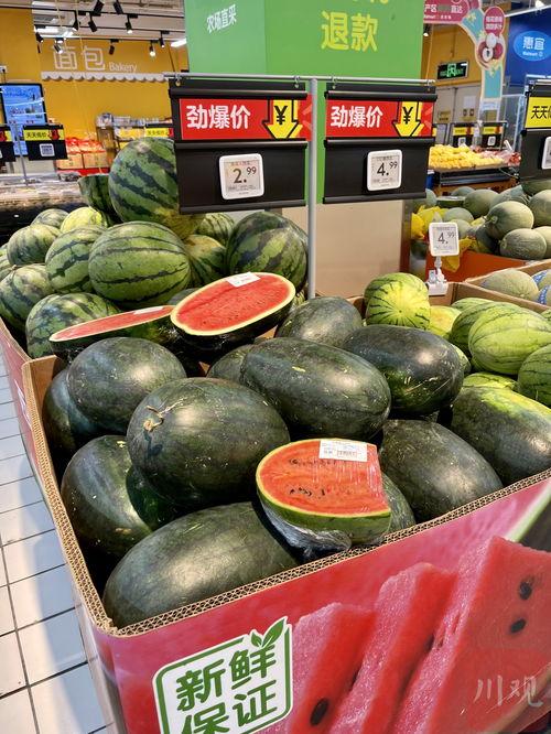 妞妞探社吃瓜,吃瓜群众的狂欢盛宴